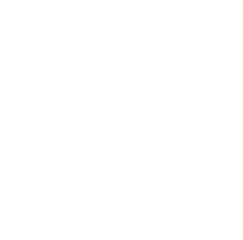 Immutable zkEVM Mainnet Logo